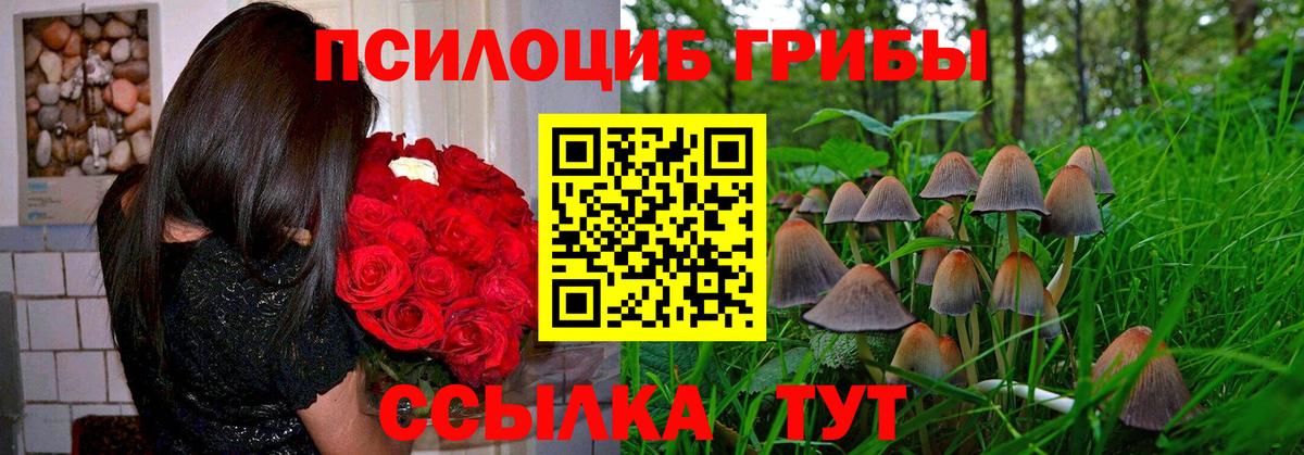 Псилоцибиновые грибы Psilocybe Троицк