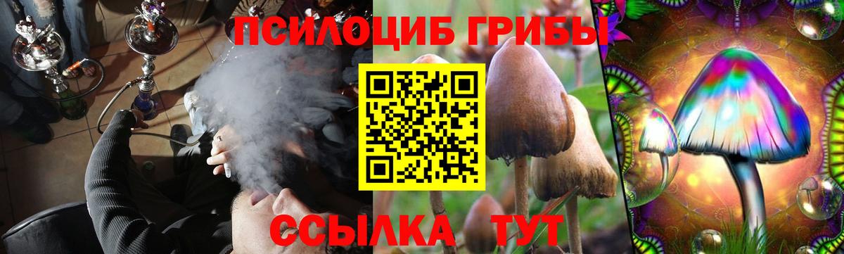 Псилоцибиновые грибы Cubensis  Галлюциногенные грибы прущие грибы  Вход с VPN  Троицк 